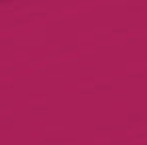204 Fuchsia Pink