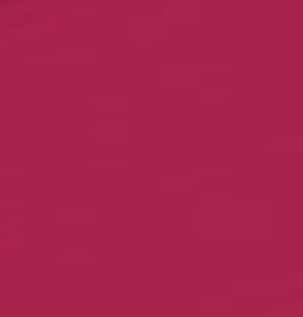 219 Hot Pink