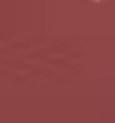 Earthy Brown