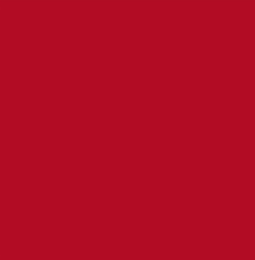 Sunny Red